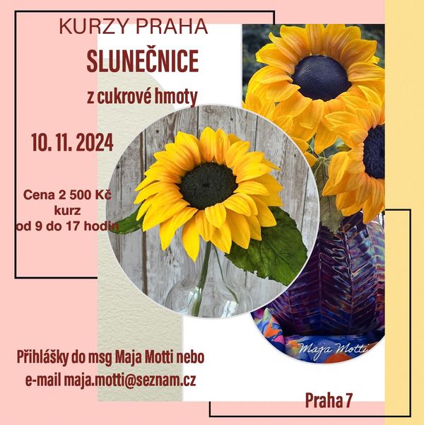 kurz slunečnice